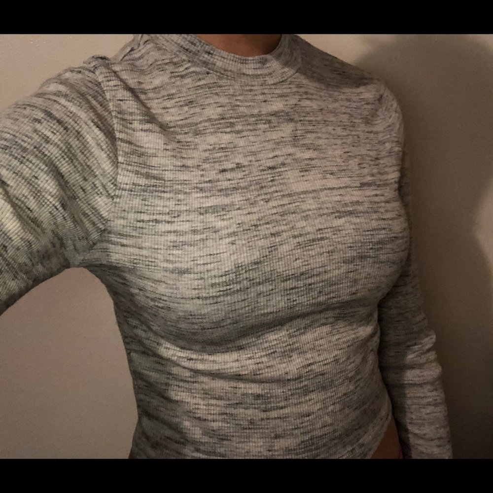 Long sleeves, cropped turtle neck